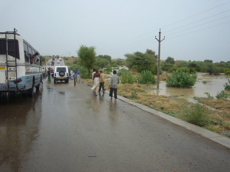 Travel - India - Rajasthan - Desert Camel Trip - Desert Rain